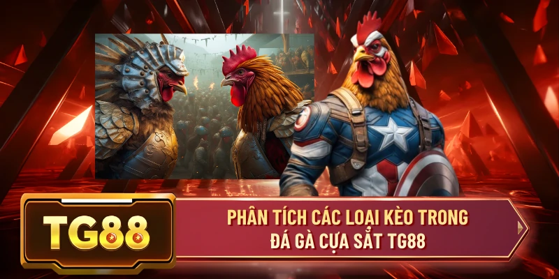Phân Tích Các Loại Kèo Trong Đá Gà Cựa Sắt TG88